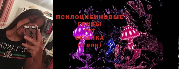 винт Алзамай