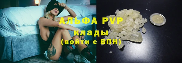 мяу мяу мука Арсеньев