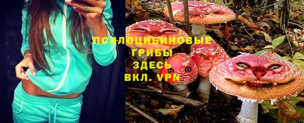 мяу мяу мука Арсеньев