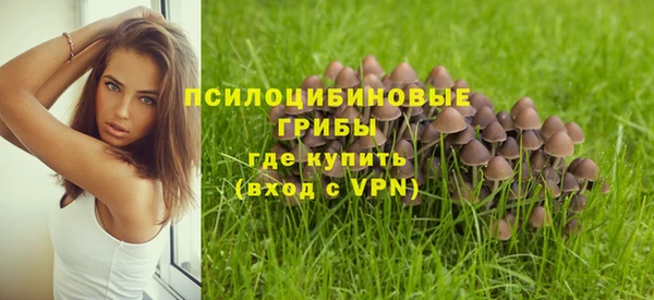 мяу мяу мука Арсеньев