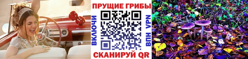 omg вход  Байкальск  дарк нет телеграм  цена   Галлюциногенные грибы Magic Shrooms 